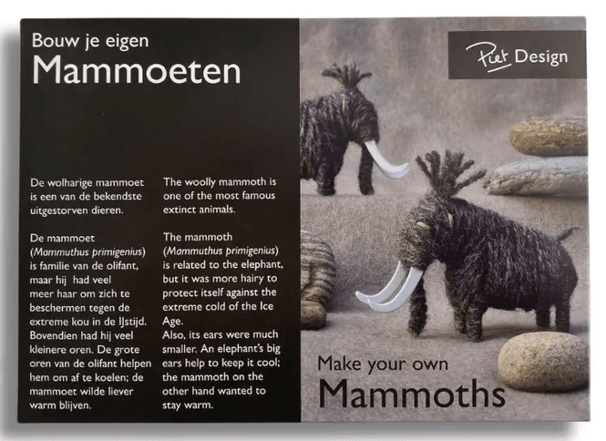 Hoofdbeeld Wolharige Mammoeten